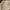 Dickies Biker Casual Casual shirt Pria tan photo 2