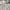 Montbell Gorpcore Casual Casual shirt Pria tan cream photo 2