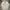Montbell Gorpcore Casual Casual shirt Pria tan cream photo 3