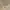 Japanese brand Vintage Casual Windbreaker Pria gold tan photo 3