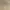 Japanese brand Vintage Casual Windbreaker Pria gold tan photo 6
