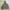 Nike Streetwear Hoody Pria gray photo 1