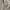Nike Streetwear Hoody Pria gray photo 5