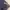 Adidas Streetwear Sportswear Sweatpants & Joggers Pria navy photo 7