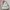 Guess Vintage Y2K Shoulder Bag Wanita White Khaki