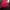 Feltics Gorpcore Track jacket Pria red photo 3