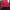 Feltics Gorpcore Track jacket Pria red photo 2