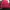 Feltics Gorpcore Track Jacket Pria Red