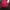 Feltics Gorpcore Track jacket Pria red photo 4