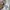 Fear of God ESSENTIALS Streetwear Casual Hoody Pria cream photo 5