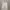 Fear of God ESSENTIALS Streetwear Casual Hoody Pria cream photo 1