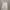Fear Of God ESSENTIALS Streetwear Casual Hoody Pria Cream