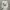 Fear of God ESSENTIALS Streetwear Casual Hoody Pria cream photo 2