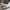Fear of God ESSENTIALS Streetwear Casual Hoody Pria cream photo 4