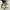 New Balance Casual Sneakers Pria white photo 2