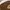 GAP Vintage Streetwear Hoody Pria brown photo 6