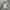 Issey Miyake Vintage Y2K Bomber jacket Pria gray photo 7