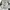 Angelo Marani Y2K Luxury Flare pants Wanita white photo 8