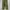 Japanese brand Streetwear Casual Casual pants Pria green photo 2