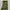 Japanese brand Streetwear Casual Casual pants Pria green photo 5