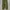 Japanese Brand Streetwear Casual Casual Pants Pria Green