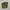 Japanese brand Streetwear Casual Casual pants Pria green photo 3