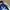 MLB Streetwear Sportswear Hat Pria white blue photo 3