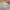 CELINE Luxury Minimalist Boxer Pria white photo 4
