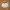 CELINE Luxury Minimalist Boxer Pria white photo 1