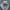 Burberry Streetwear Minimalist Blazer Pria blue photo 2