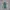 Vintage Streetwear Bomber Jacket Pria Khaki Blue