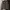 Japanese Brand Vintage Sportswear Casual Shirt Pria Tan