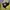 Adidas Streetwear Gorpcore Windbreaker Pria yellow photo 3