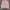 Burberry Luxury Casual Cardigan Wanita pink photo 4