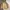 Uniqlo Streetwear Casual Parka Pria Cream