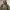 Vision Street Wear Streetwear Y2K Windbreaker Pria green photo 2