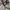 Vision Street Wear Streetwear Y2K Windbreaker Pria green photo 5