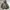 Vision Street Wear Streetwear Y2K Windbreaker Pria green photo 1