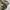 Vision Street Wear Streetwear Y2K Windbreaker Pria green photo 4