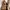 Vintage Cardigan Wanita brown photo 2