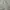 Carhartt Vintage Streetwear Hoody Pria gray photo 2