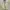 Carhartt Vintage Streetwear Hoody Pria gray photo 3