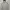 Carhartt Vintage Streetwear Hoody Pria gray photo 1