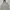 Carhartt Vintage Streetwear Hoody Pria Gray