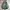 Buzz Ricksons Streetwear Y2K Parka Pria green photo 5