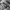 Buzz Ricksons Streetwear Y2K Parka Pria green photo 6