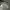 BOY London Luxury Casual Trench coat Wanita white black photo 3