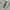 Japanese brand Vintage Pria silver black photo 1