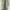 Vintage Casual Pria burgundy green photo 2