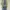 Vintage Casual Pria burgundy green photo 3